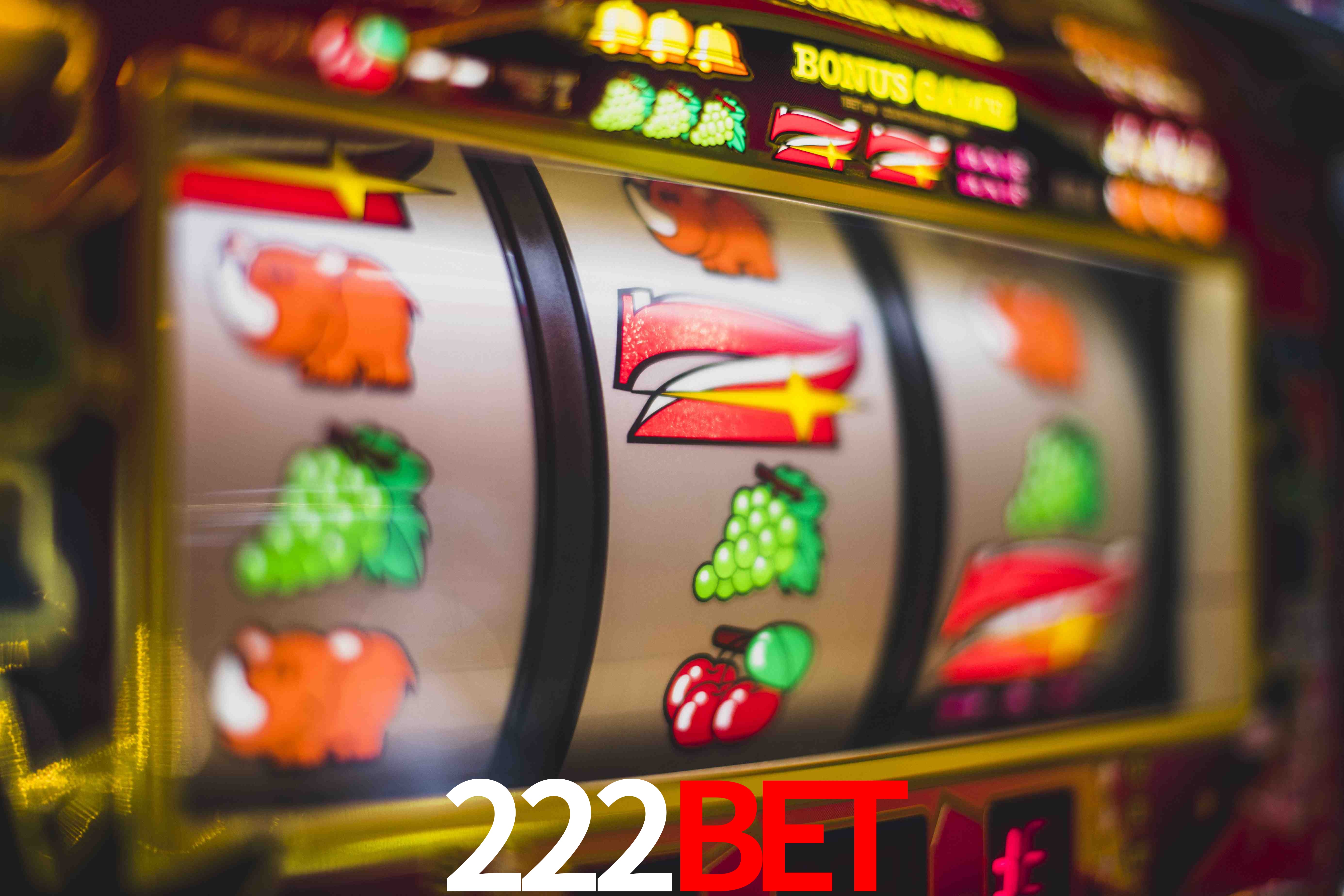 Statistics 222bet